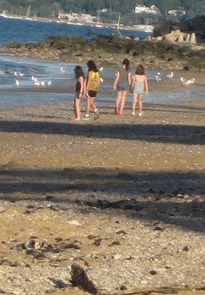 Screen Shot 2018-04-28 at 5.31.57 PM.png